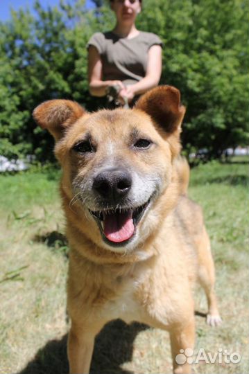 Радик надеется на добрый дом