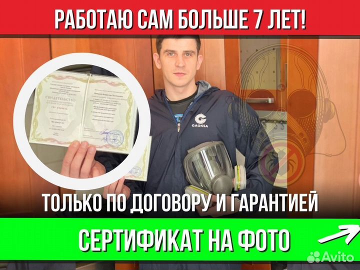 Уничтожение тараканов, уничтожение клопов