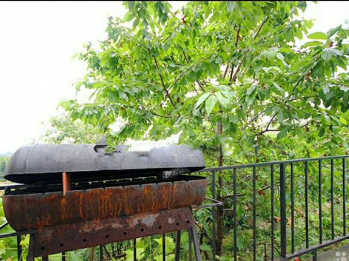 Комната 12 м² в 3-к., 1/3 эт.