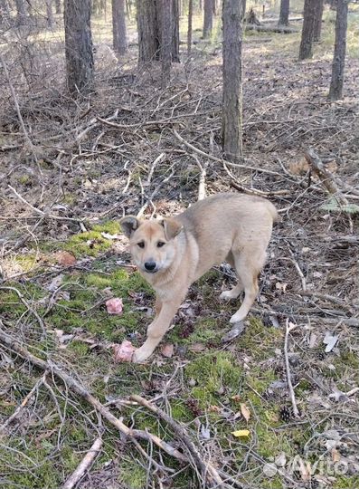 Нужно спасать