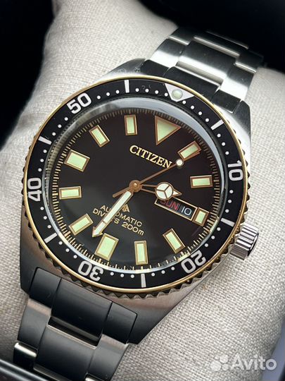 Citizen Promaster NY0125-83E