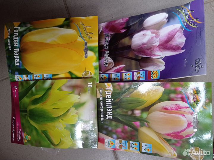 Тюльпаны, крокусы, гиацинты, нарцисы