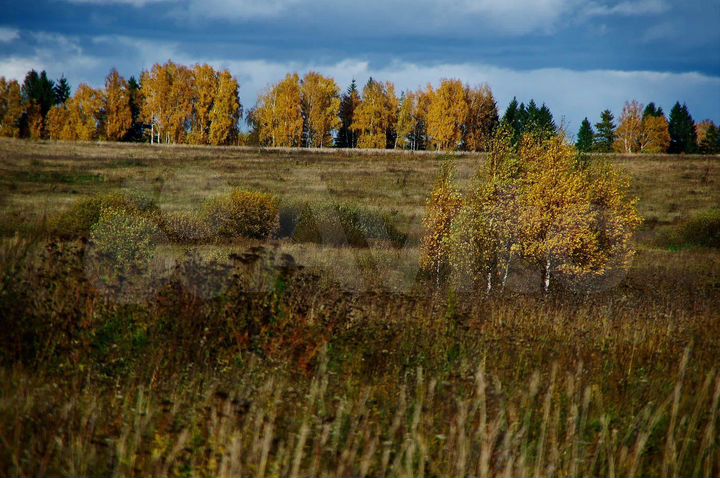 Участок 10,13 га (СНТ, ДНП)