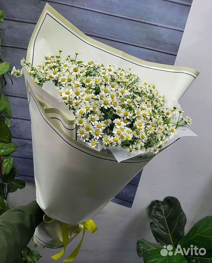 Доставка цветов. Ромашки