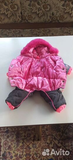 Одежда для собак