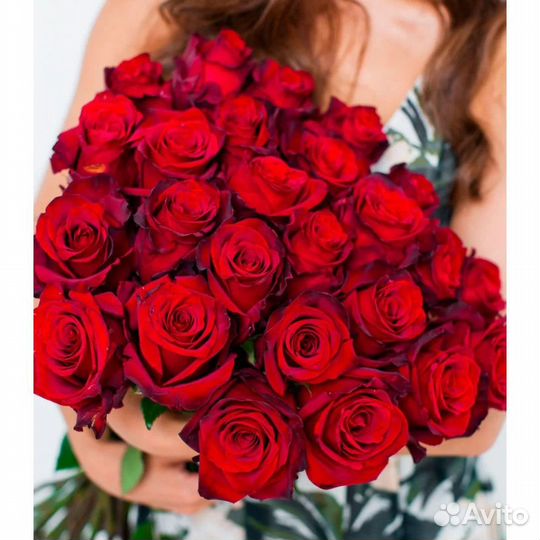 Голландские розы с огромным бутоном