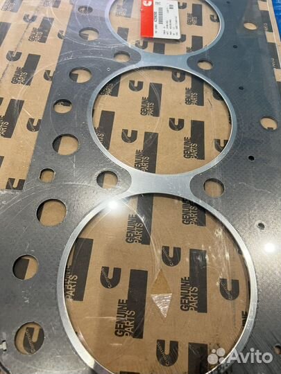Прокладка гбц Cummins ISX/QSX 4299098