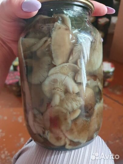 Грибы маринованные