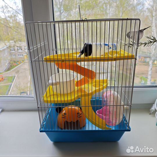 Клетка для грызунов бу