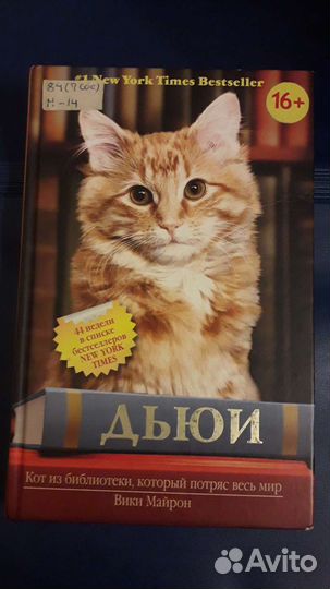 Книга Дьюи кот из библиотеки