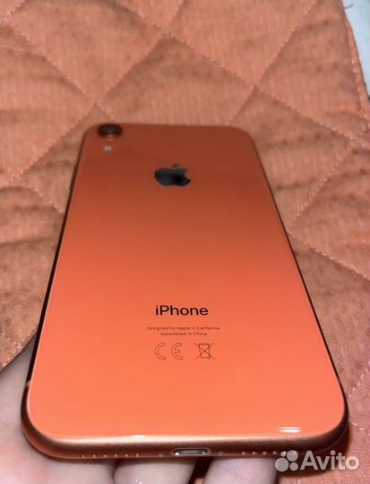 iPhone xr