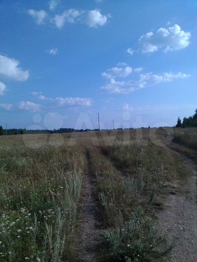 Участок 1,6 га (СНТ, ДНП)