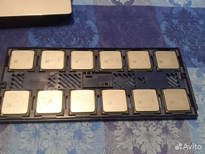 Процессоры AMD