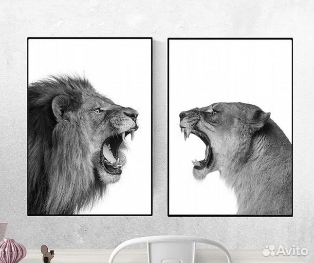 Постер картина из Hoff Лев и Львица