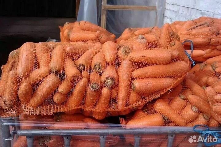 Картофель морковка лук