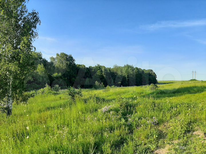 Участок 10 сот. (ИЖС)