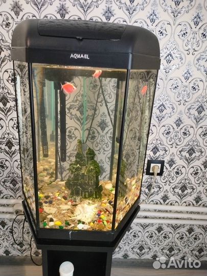 Аквариум с тумбой