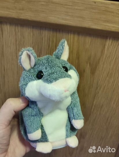 Новый говорящий хомячок