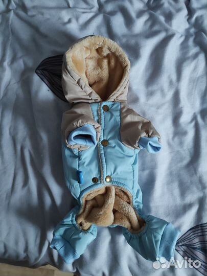 Одежда для маленьких собак