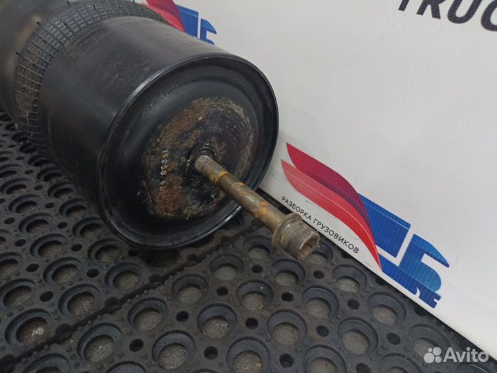Подушка пневмоподвески задняя Daf XF106