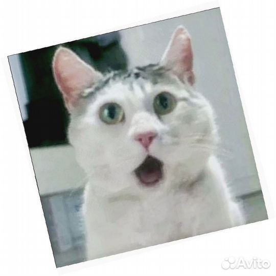 Комплектовщик Работа на складе Еженедельные выплат