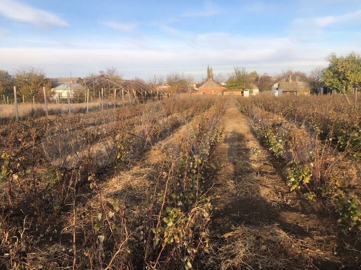 Дом 65 м² на участке 15 сот.