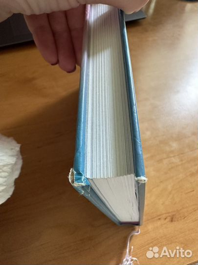 Дзен-камера книга Дэвид Ульрих