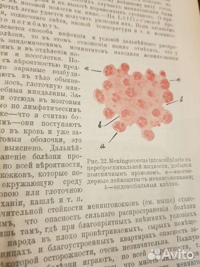 Учебник частной патологии и терапии 1910 г