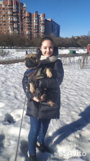 Передержка собак, няня для собак, догситтер