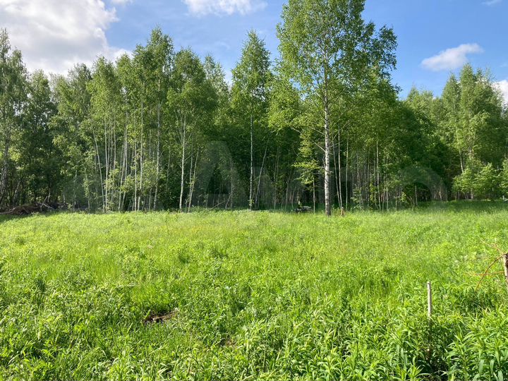 Участок 10 сот. (ИЖС)