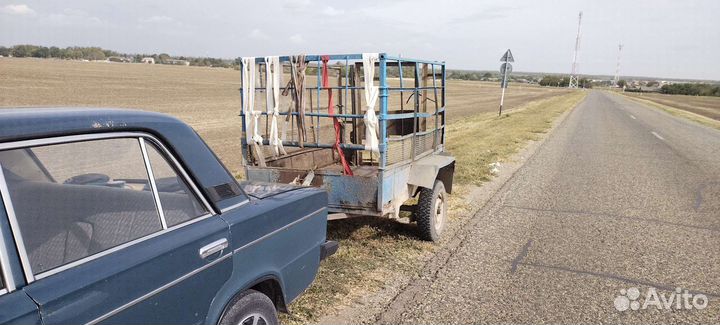 Грузоперевозка скота