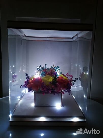 Цветы Гипсофилы с подсветкой Подарок