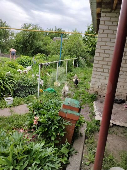 Дом 75 м² на участке 50 сот.