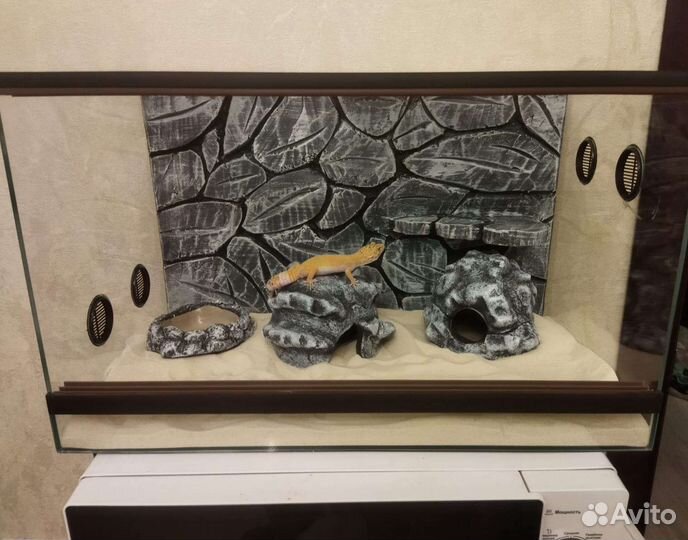 Эублефар и террариум (новый в упаковке)