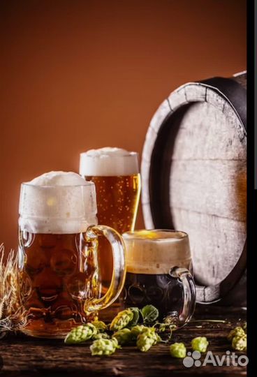 Магазин разливного пива и напитков