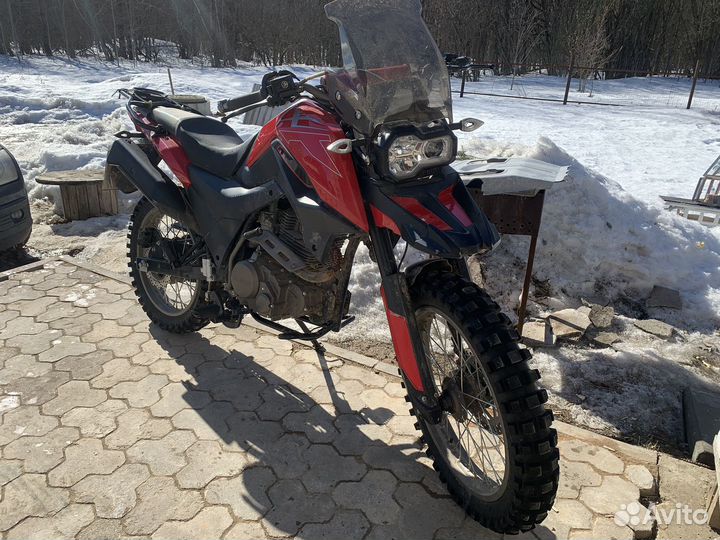 Fireguard 250 Trail 2022 года