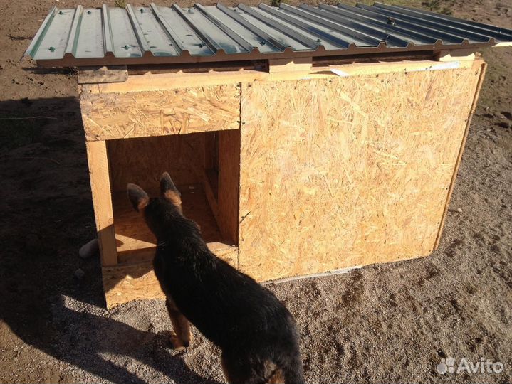 Будка для собаки утепленная из Осб с доставкой