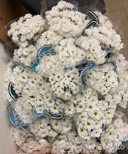 Цветы без посредников