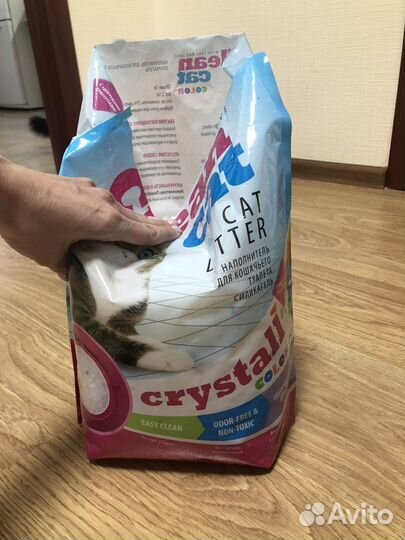 Наполнитель Clean Cat