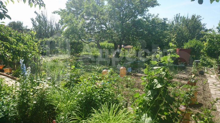 Дача 20 м² на участке 5,3 сот.