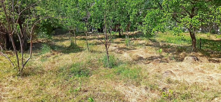 Дом 100,6 м² на участке 12 сот.