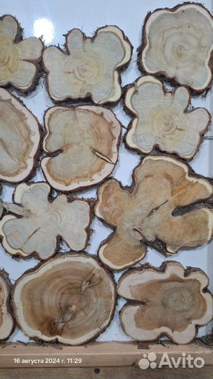 Можжевельник