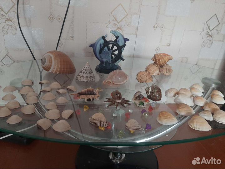 Ракушки разные по размеру,и фигуркам