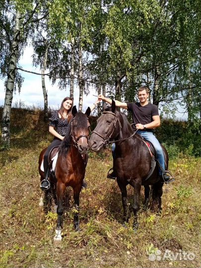 Конный прокат и фотосессии с лошадьми