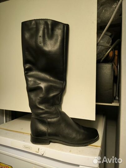 Сапоги осень