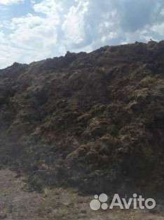 Навоз коровий плодородный грунт