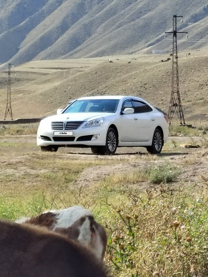 Hyundai Equus: фото владельца