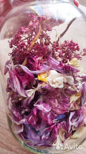 Сухоцветы для творчества