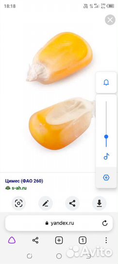Продам зерно Кукуруза