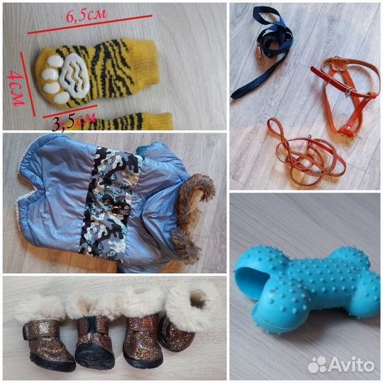 Одежда/обувь/амуниция,игрушки для собак